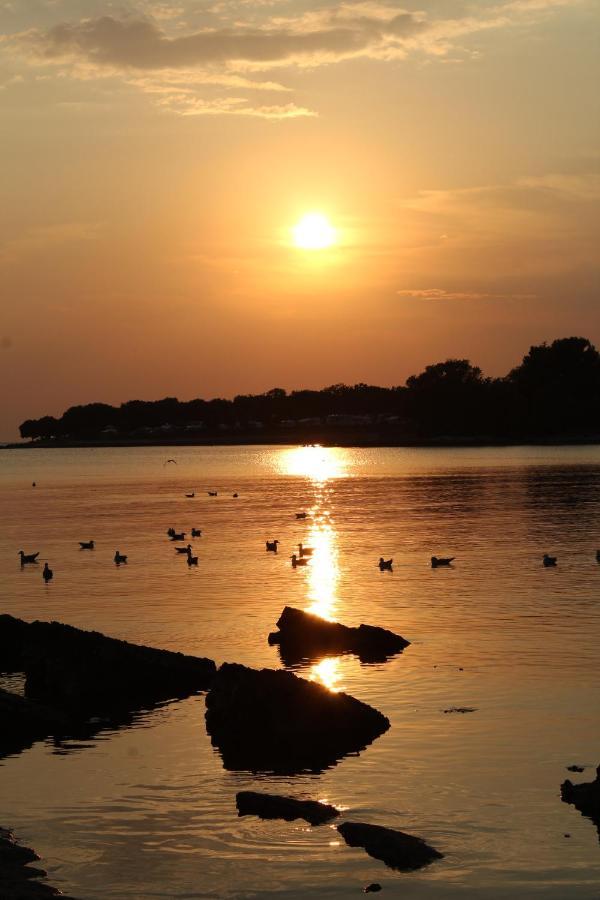 Apartment Dekovic Poreč Dış mekan fotoğraf