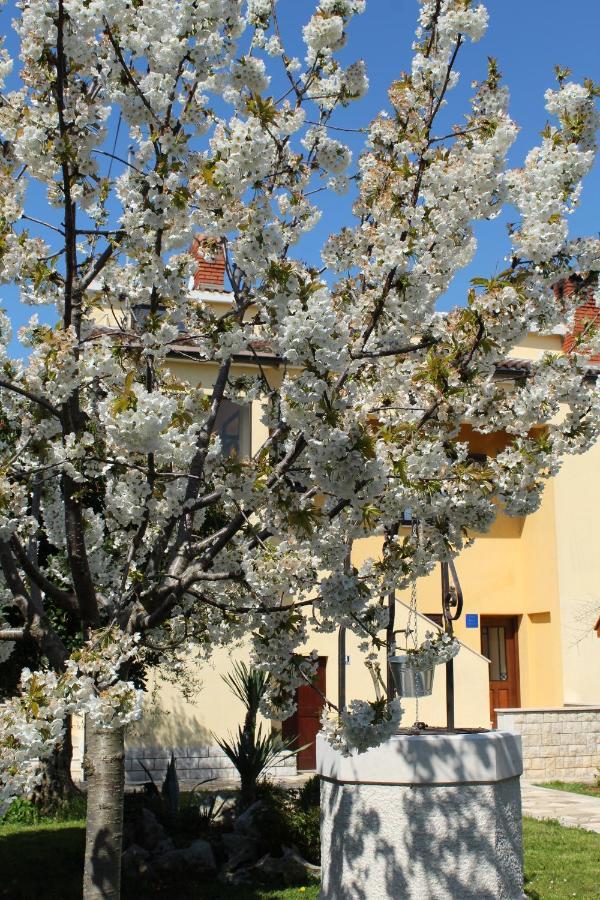 Apartment Dekovic Poreč Dış mekan fotoğraf